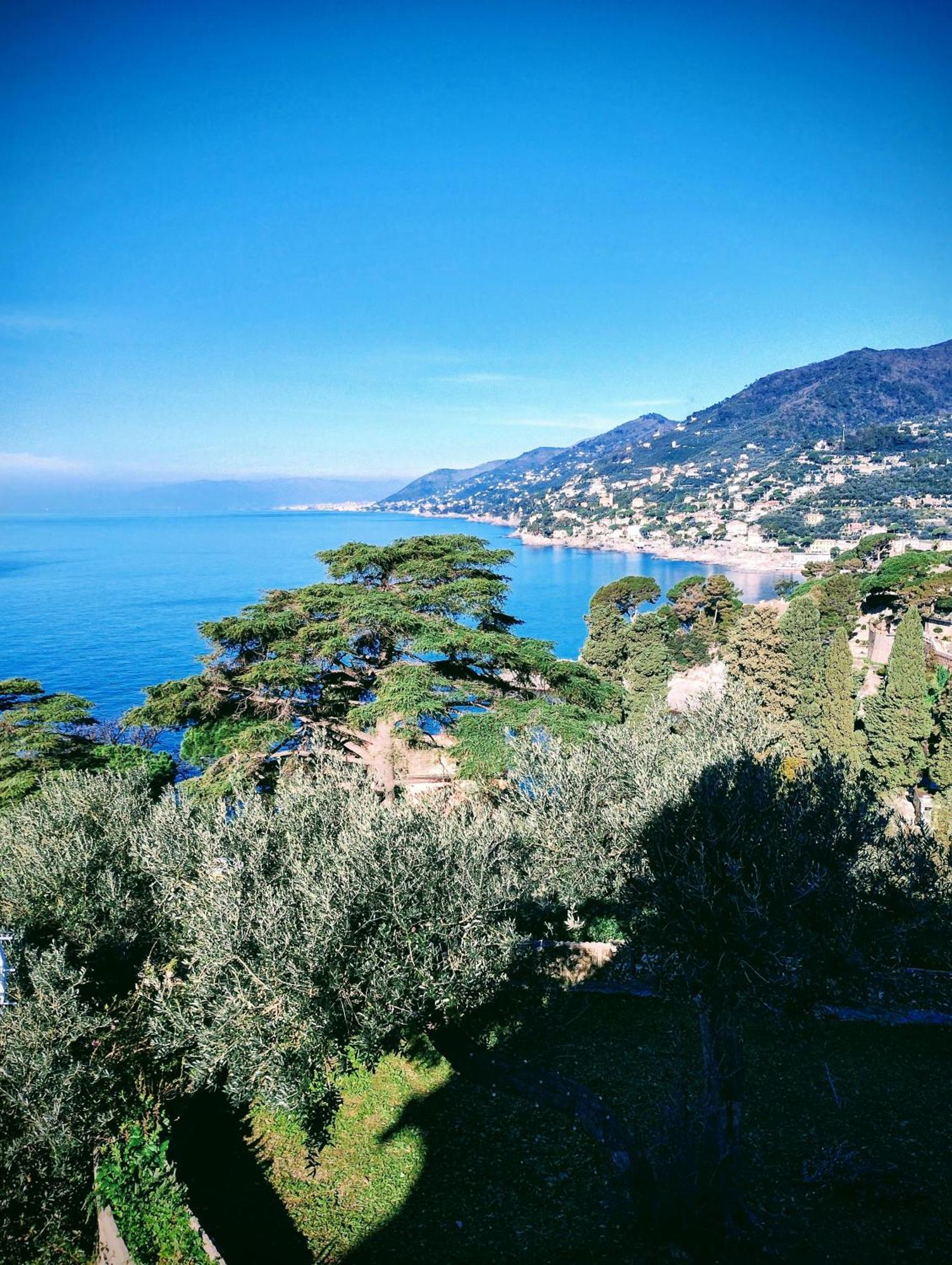 La Conchiglia Bed & Breakfast 카모글리 외부 사진