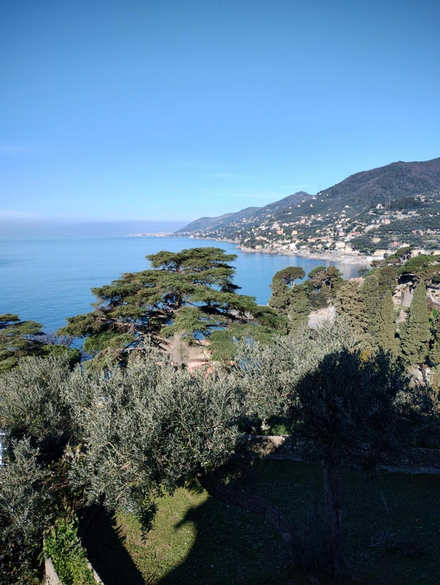 La Conchiglia Bed & Breakfast 카모글리 외부 사진